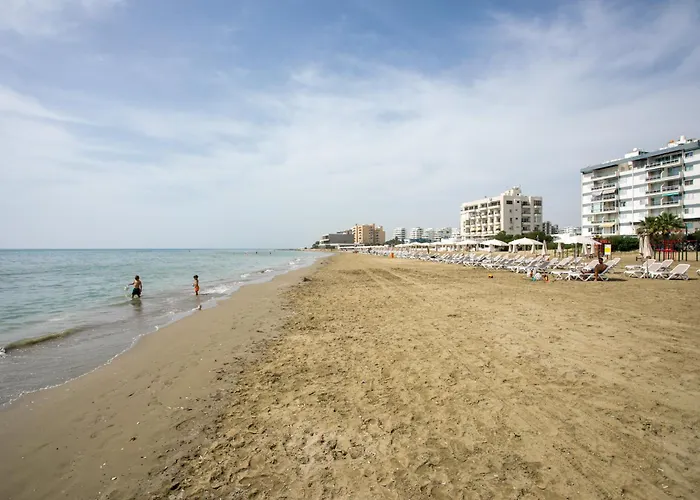 Palmove Luxurious Beachfront 아파트