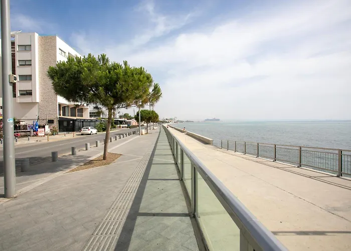 Palmove Luxurious Beachfront 아파트